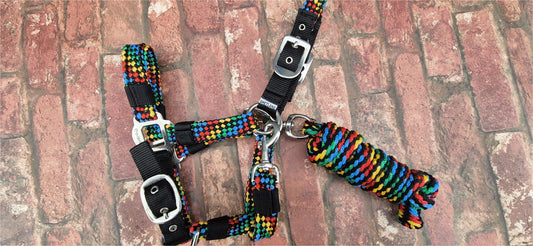 Rainbow Braided Headcollar & Matching Lead Rope