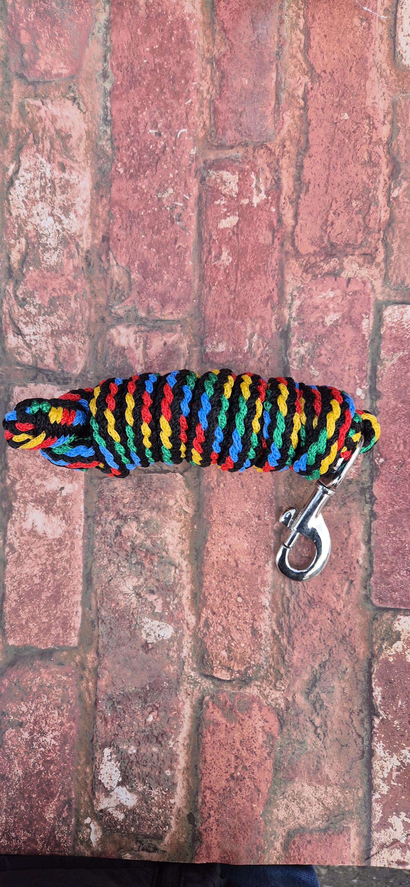 Rainbow Braided Headcollar & Matching Lead Rope