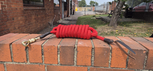Horse Training Lead Rope Communication Rope with Lether Popper