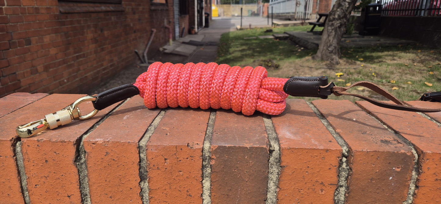 Horse Training Lead Rope Communication Rope with Lether Popper