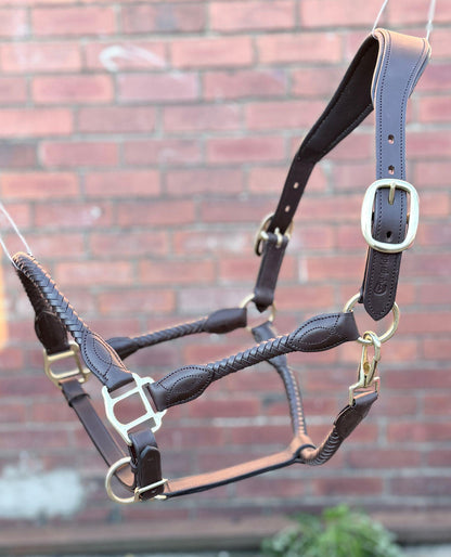 Handmade Braided Leather Horse Halter Black  & Brown Leather with Brass Hardware