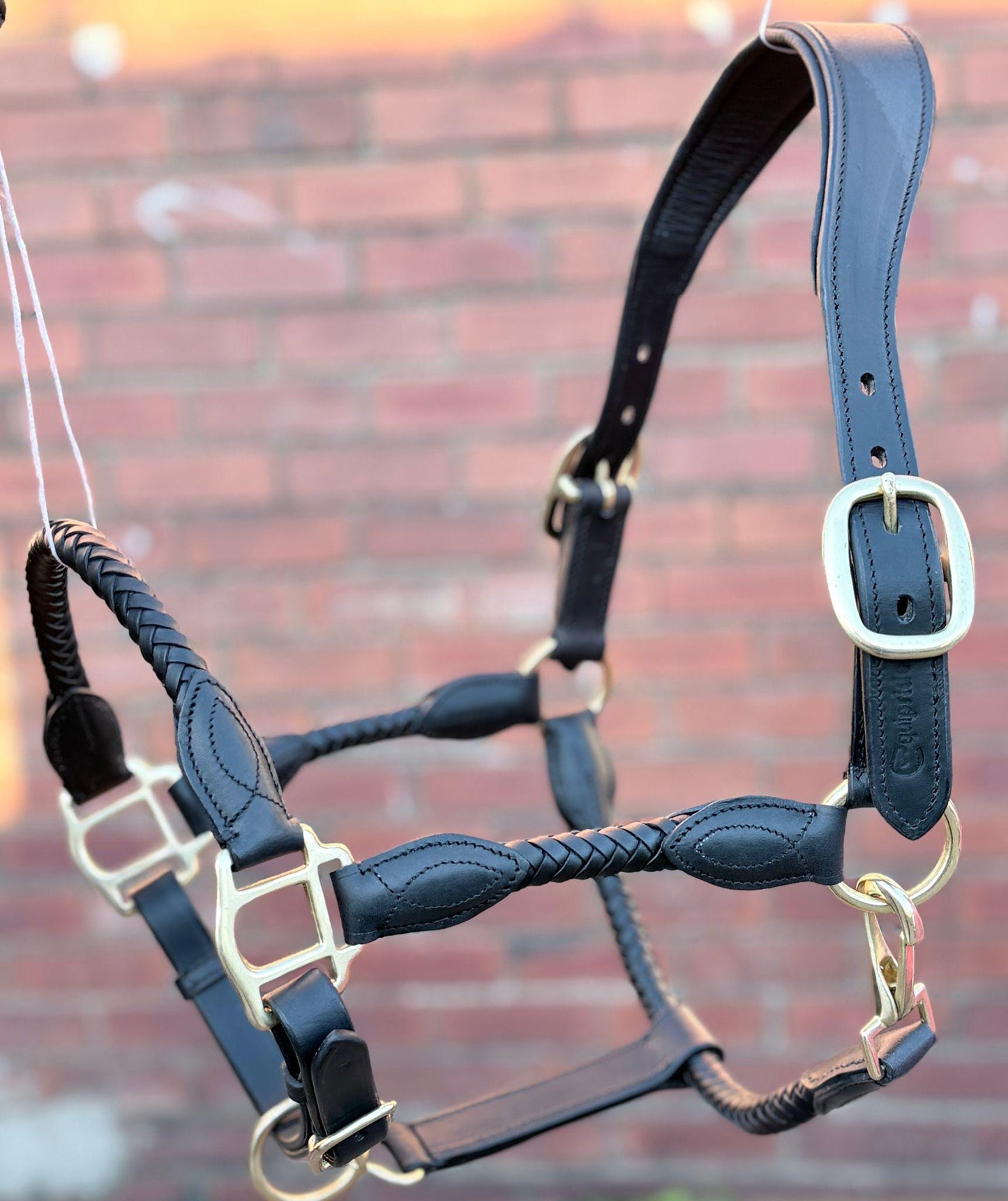 Handmade Braided Leather Horse Halter Black  & Brown Leather with Brass Hardware