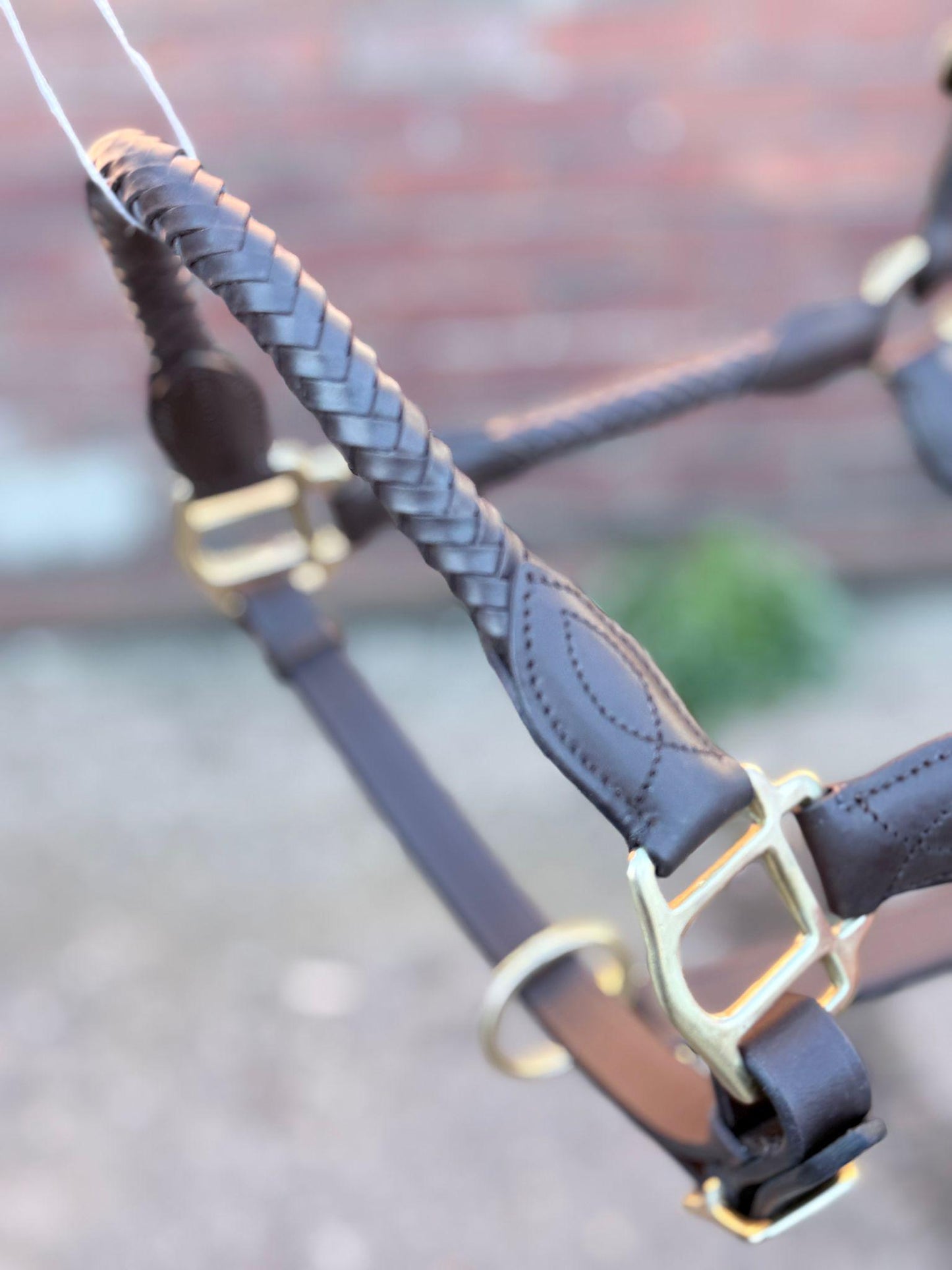 Handmade Braided Leather Horse Halter Black  & Brown Leather with Brass Hardware
