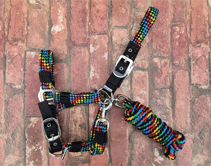 Rainbow Braided Headcollar & Matching Lead Rope