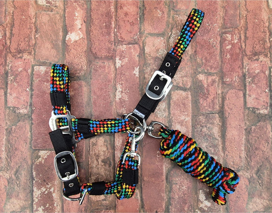 Rainbow Braided Headcollar & Matching Lead Rope