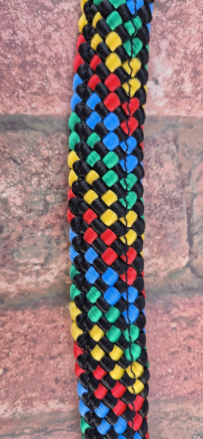 Rainbow Braided Headcollar & Matching Lead Rope