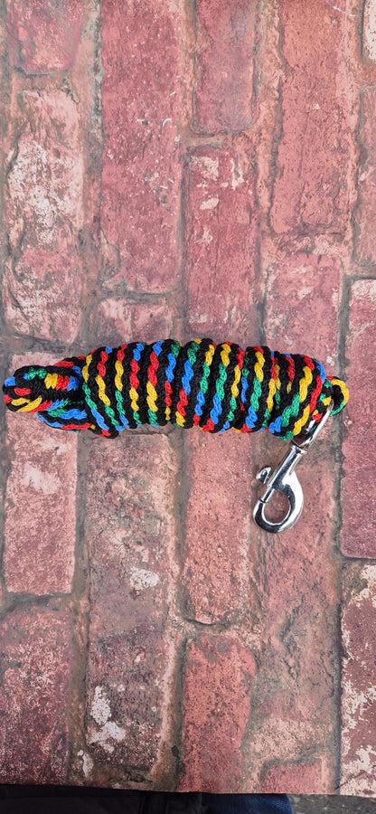 Rainbow Braided Headcollar & Matching Lead Rope