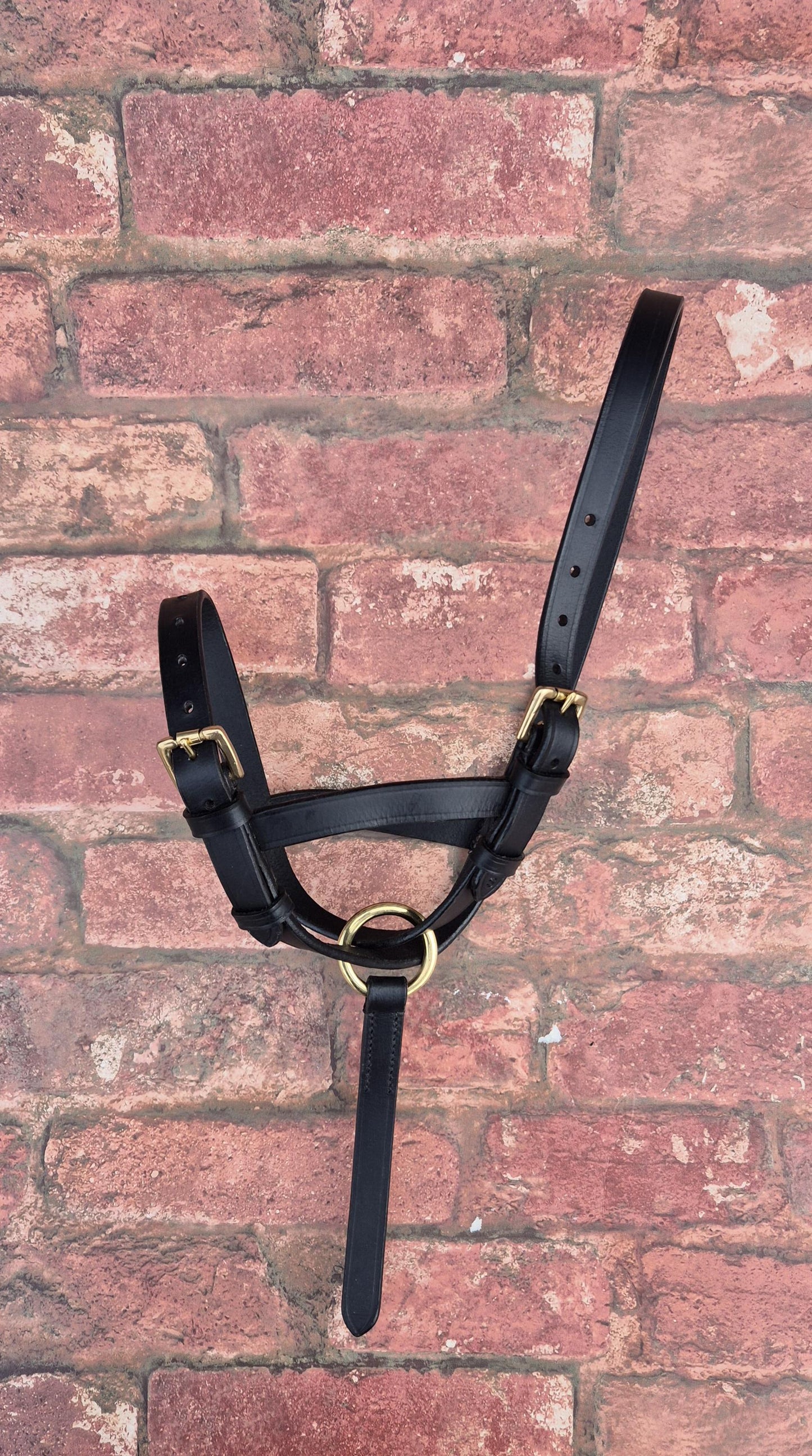 Handcrafted Leather Foal Slip - Black & Brown Small, Medium and Large Size