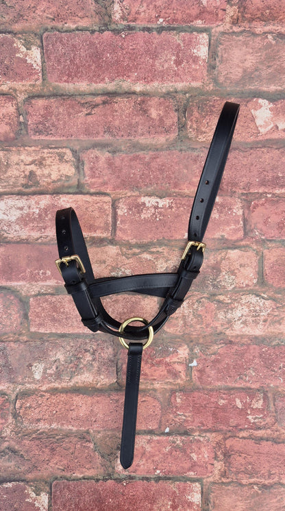 Handcrafted Leather Foal Slip - Black & Brown Small, Medium and Large Size