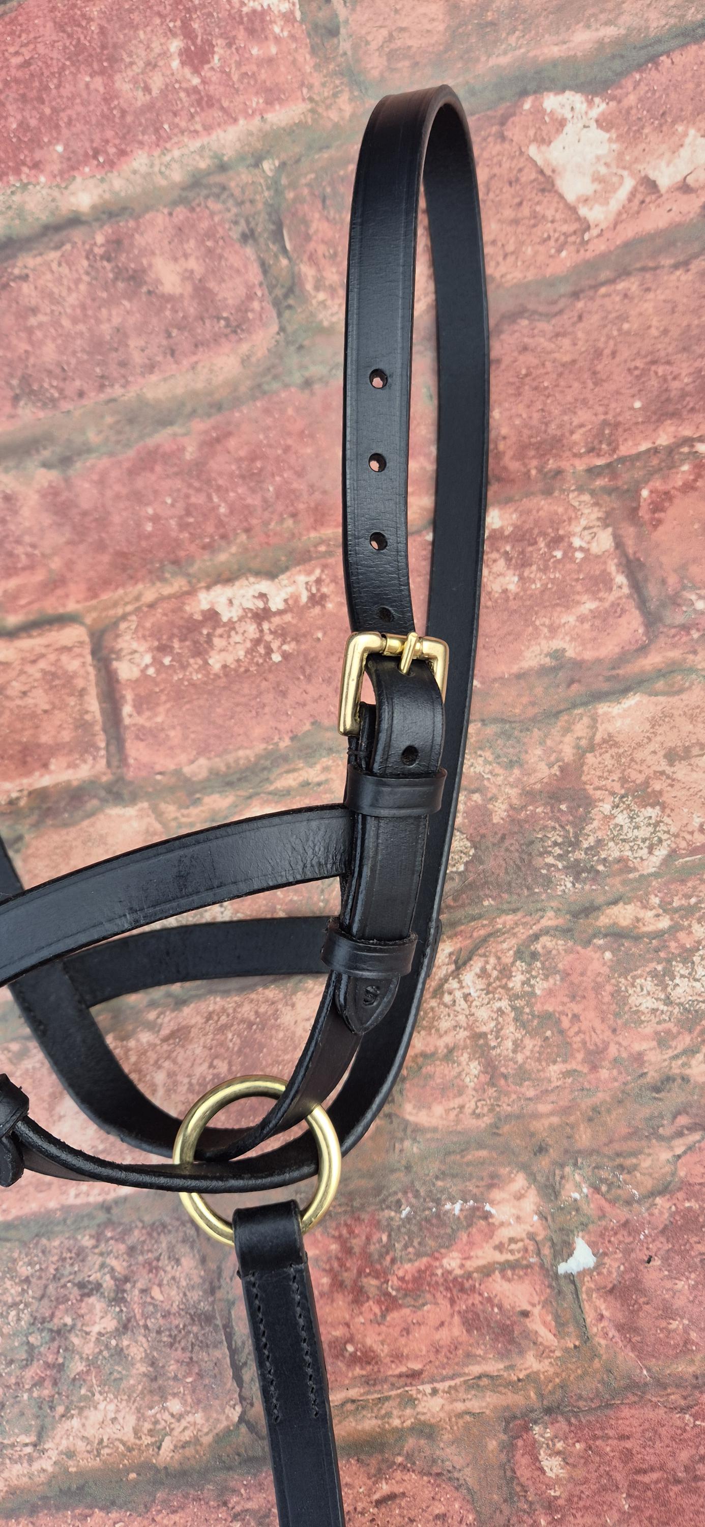 Handcrafted Leather Foal Slip - Black & Brown Small, Medium and Large Size