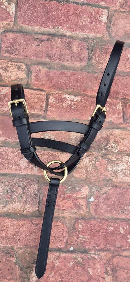 Handcrafted Leather Foal Slip - Black & Brown Small, Medium and Large Size