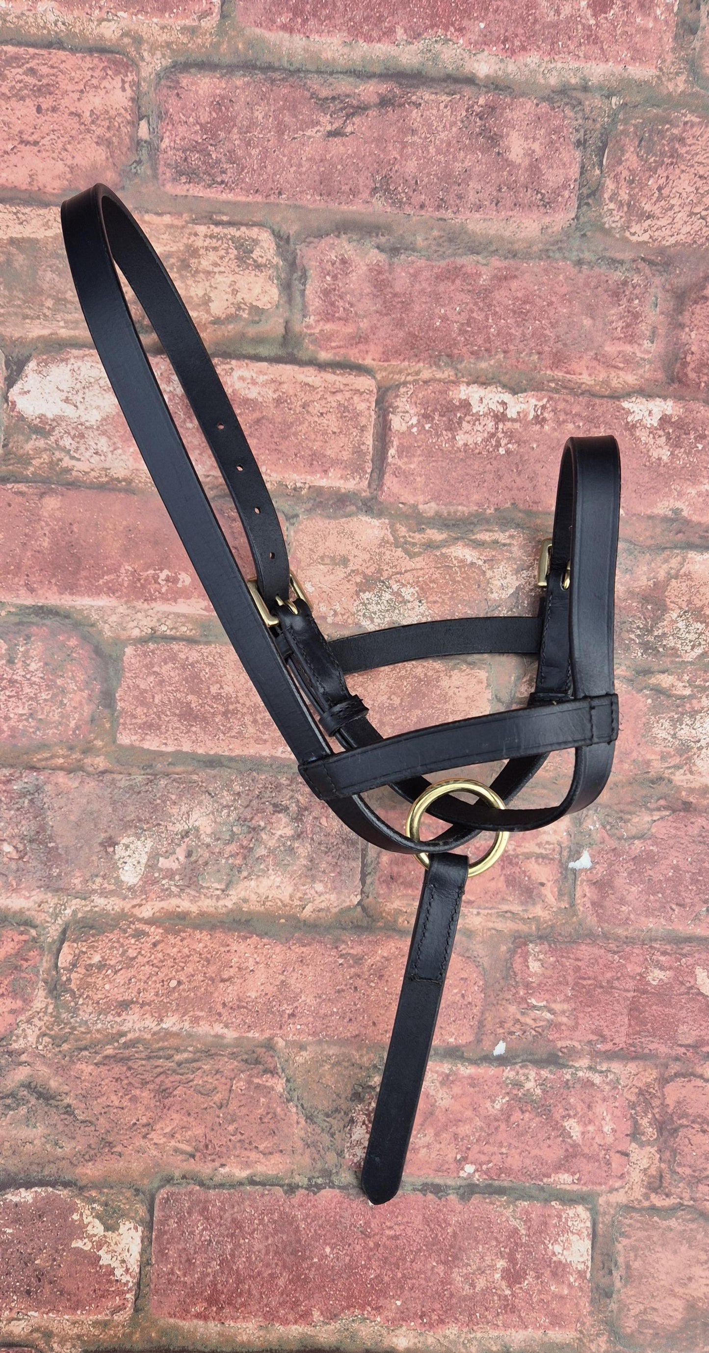 Handcrafted Leather Foal Slip - Black & Brown Small, Medium and Large Size