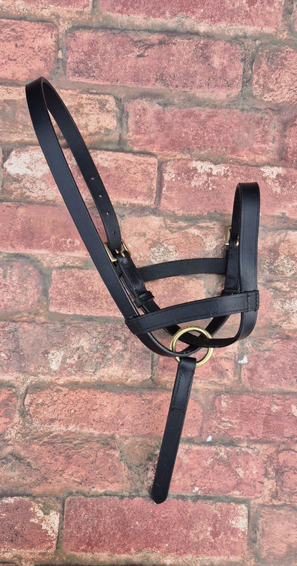Handcrafted Leather Foal Slip - Black & Brown Small, Medium and Large Size