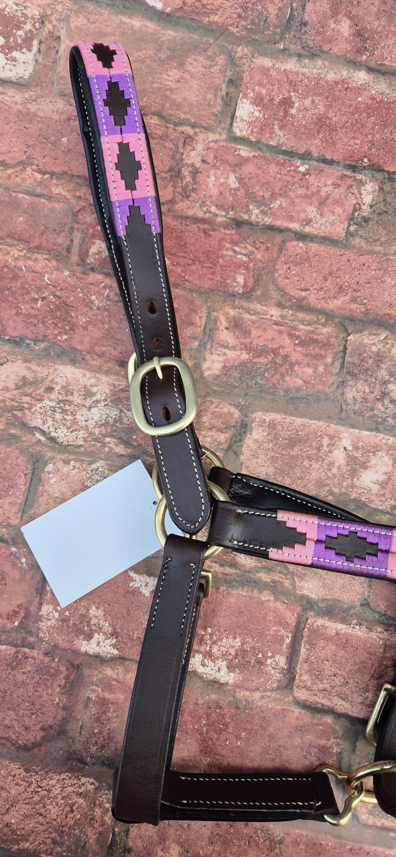 Argentinian Polo Leather Horse Halter - Pink and Purple Adjustable Headcollar