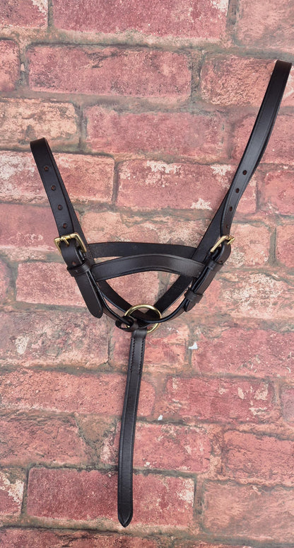Handcrafted Leather Foal Slip - Black & Brown Small, Medium and Large Size