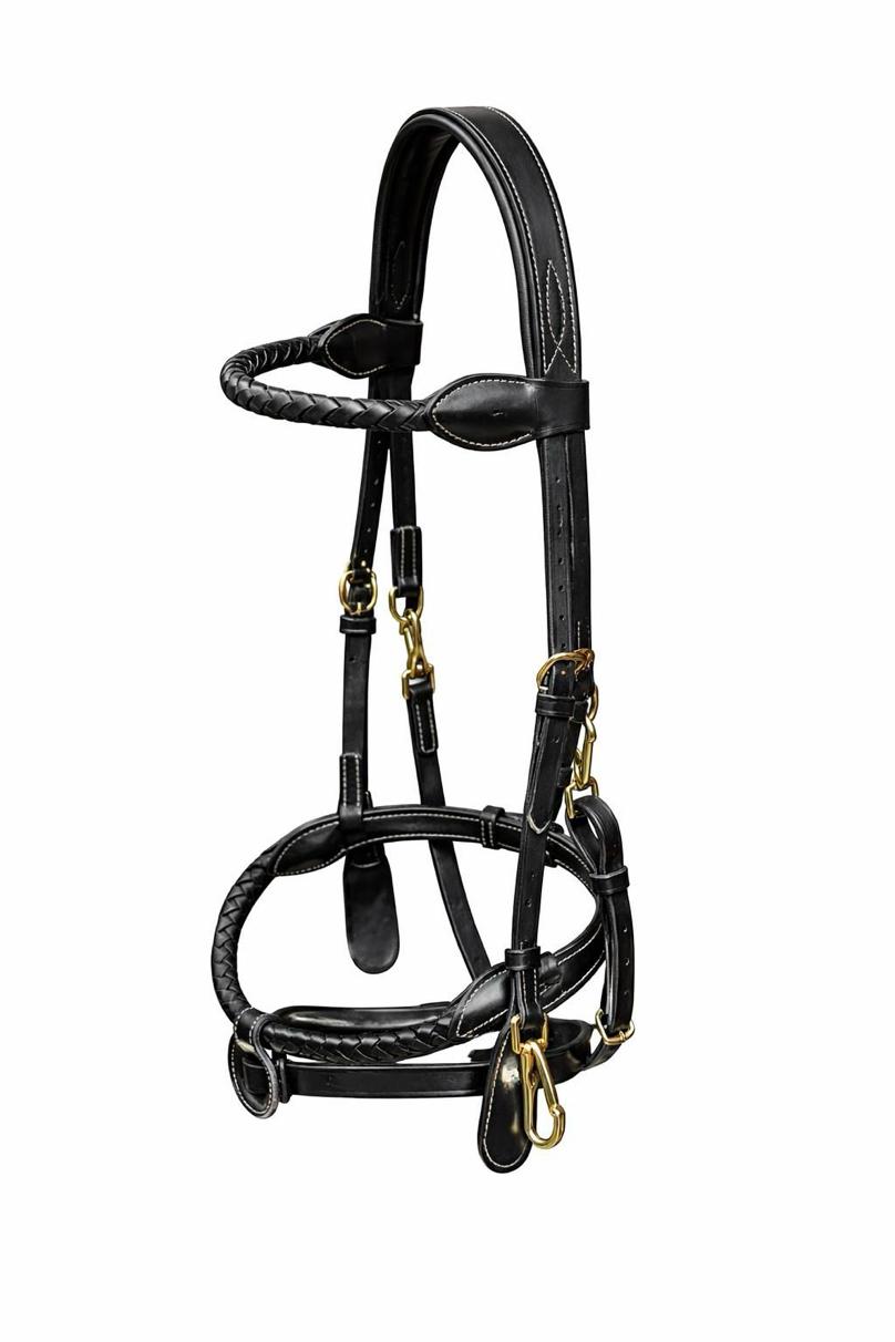 Primum Horse Leather Bridle Plated Noseband, Removable Flash Solid Brass Fitting